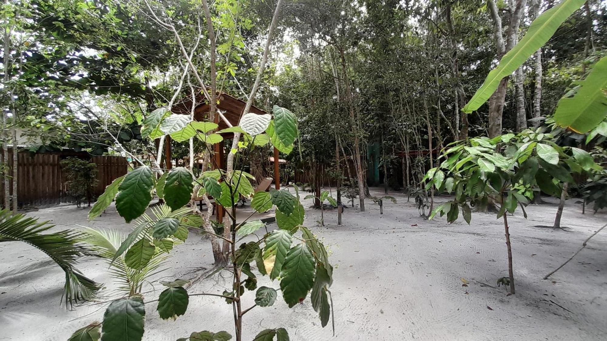 Chales Guigo-Cumuruxatiba, Sossego E Privacidade Exteriér fotografie
