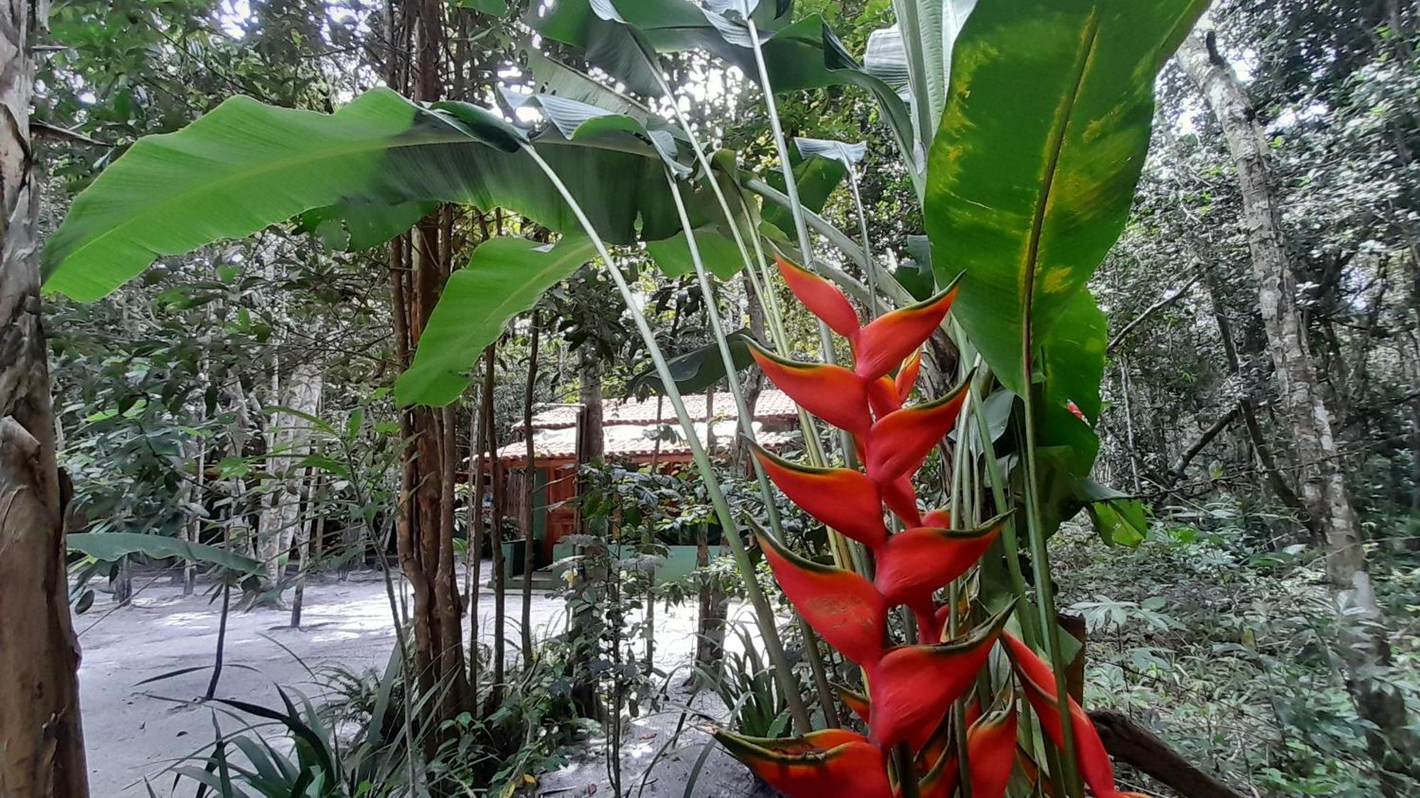 Chales Guigo-Cumuruxatiba, Sossego E Privacidade Exteriér fotografie