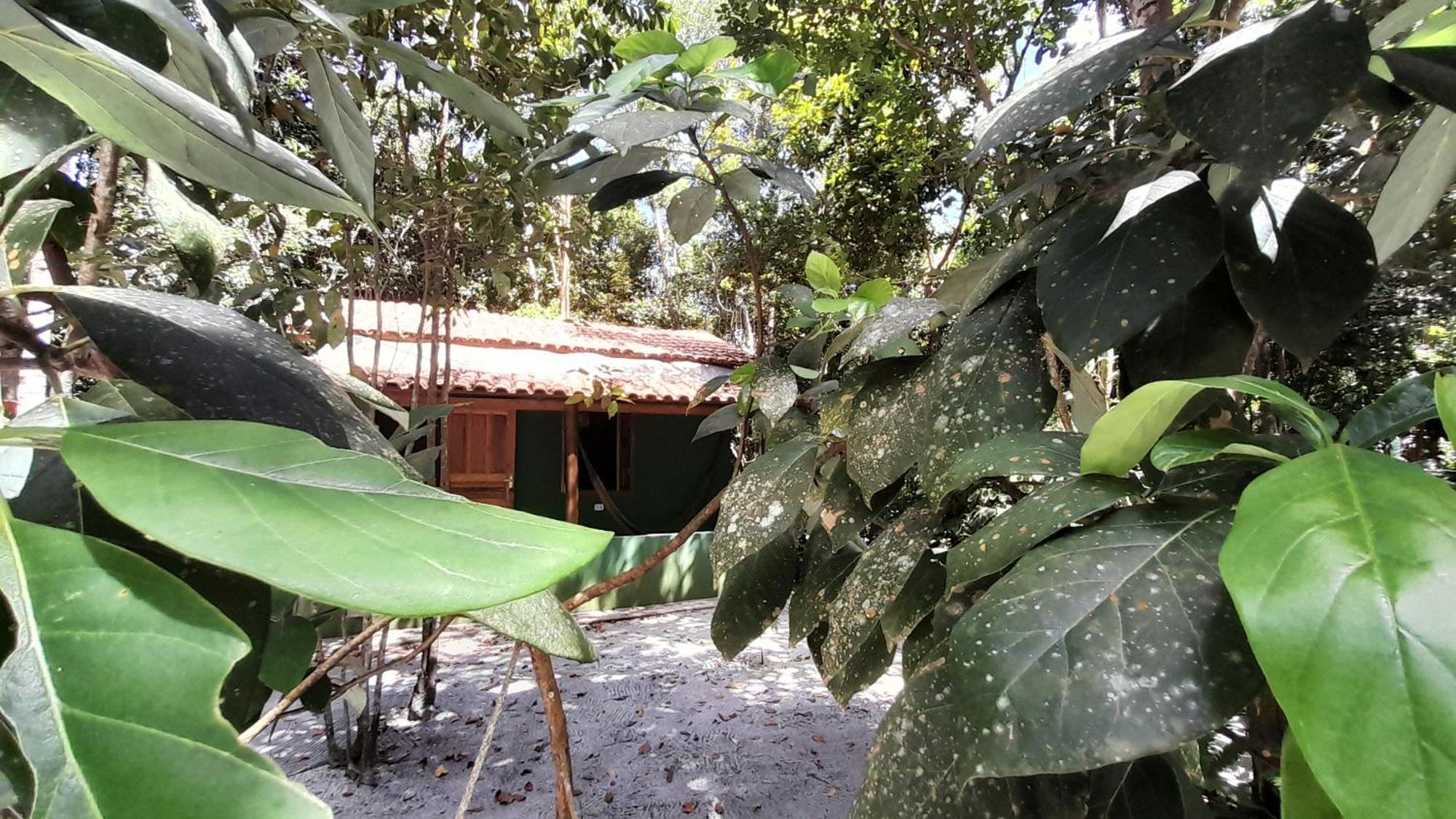 Chales Guigo-Cumuruxatiba, Sossego E Privacidade Exteriér fotografie